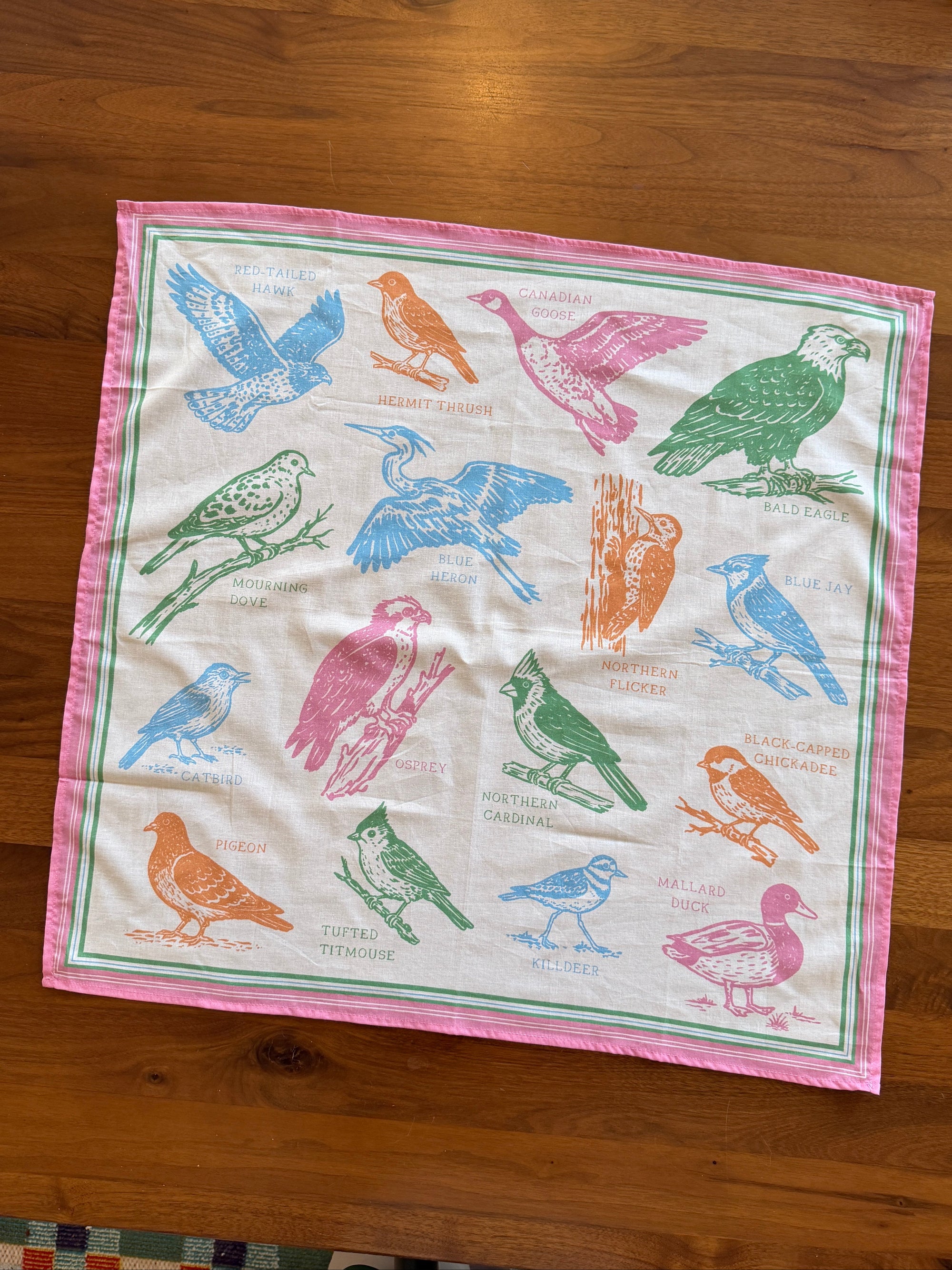 Birds of Philadelphia Bandana