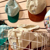 Coffee Cup Corduroy Hat