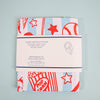 Phillies Striped Kitchen Towel