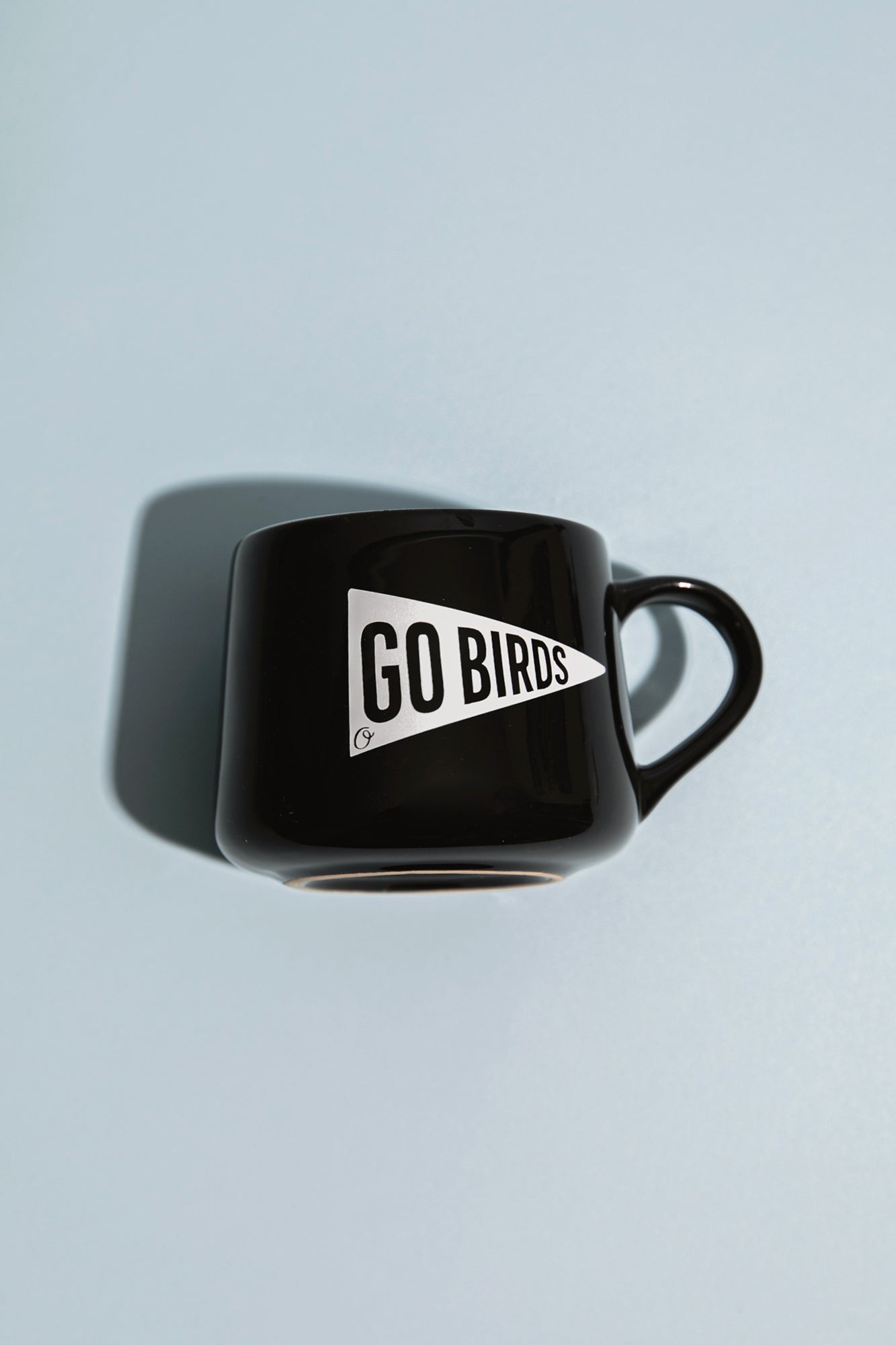 Go Birds Pennant Mug